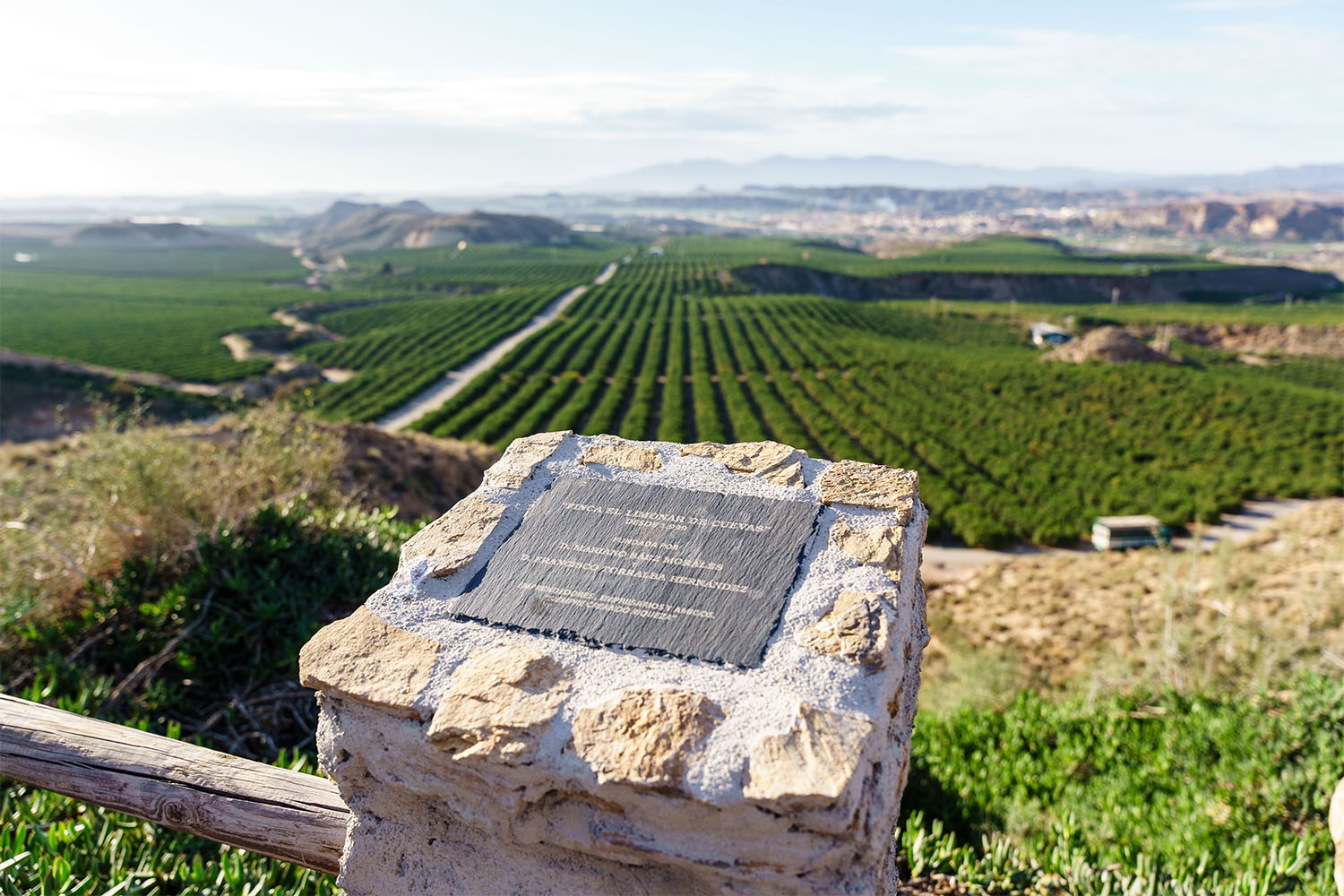 Grupo Torralba-Almería (11)